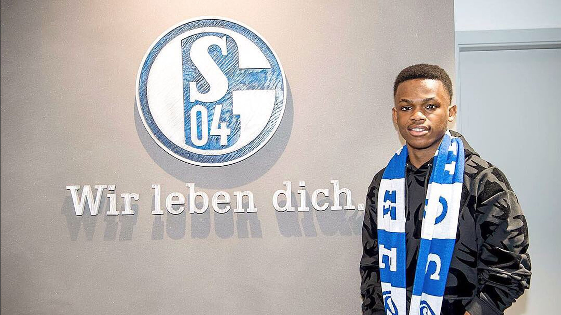 来了几条振 来了几条振